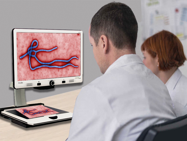 Doctors examine image