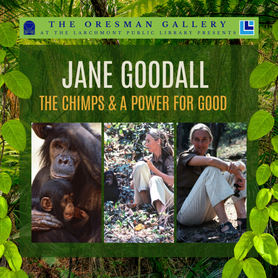 Jane Goodall: The Chimps & A Power for Good – Larchmont Public Library