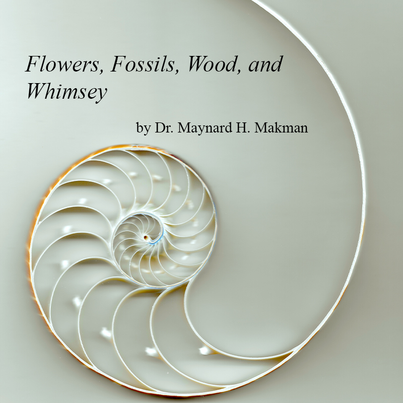 “Flowers, Fossils, Wood, and Whimsey” by artist Dr. Maynard H. Makman