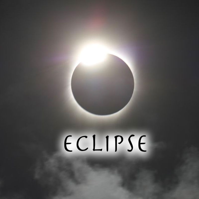 Eclipse larchmont public library
