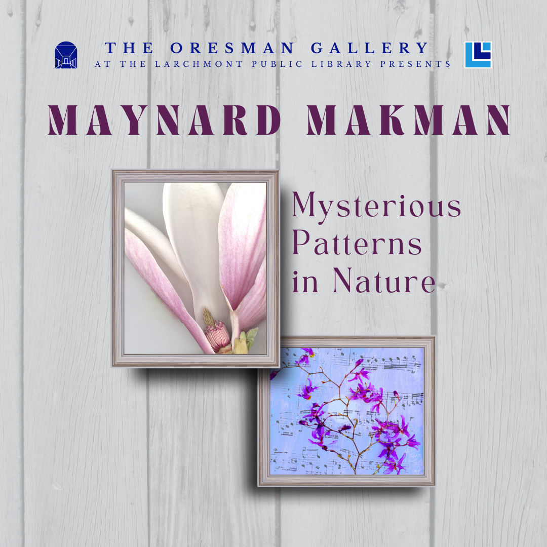 Maynard Makman: Mysterious Patterns in Nature