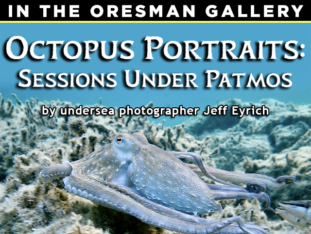 Octopus Portraits: Sessions Under Patmos by undersea photographer Jeff Eyrich